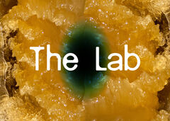 After The Lab