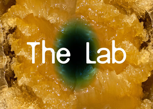 After The Lab