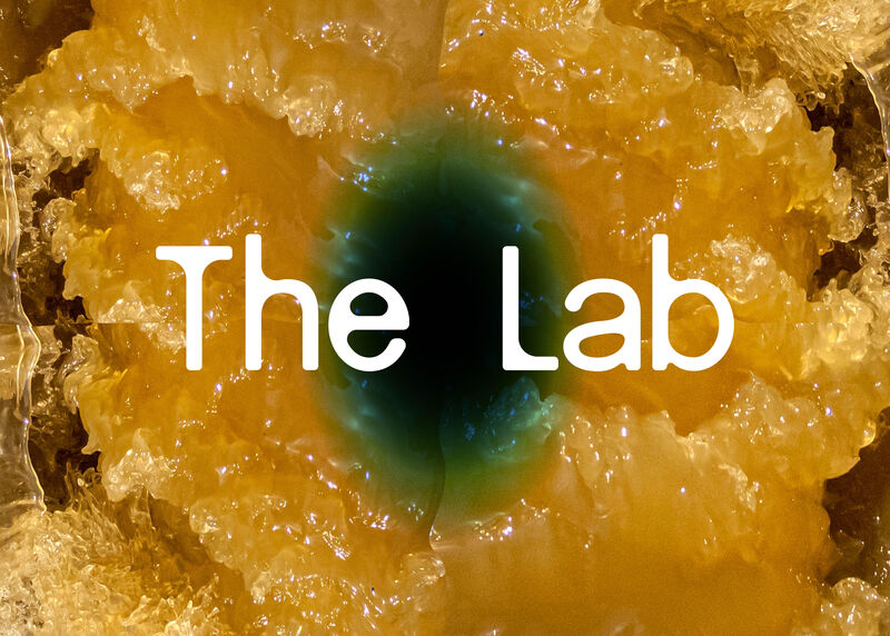 After The Lab