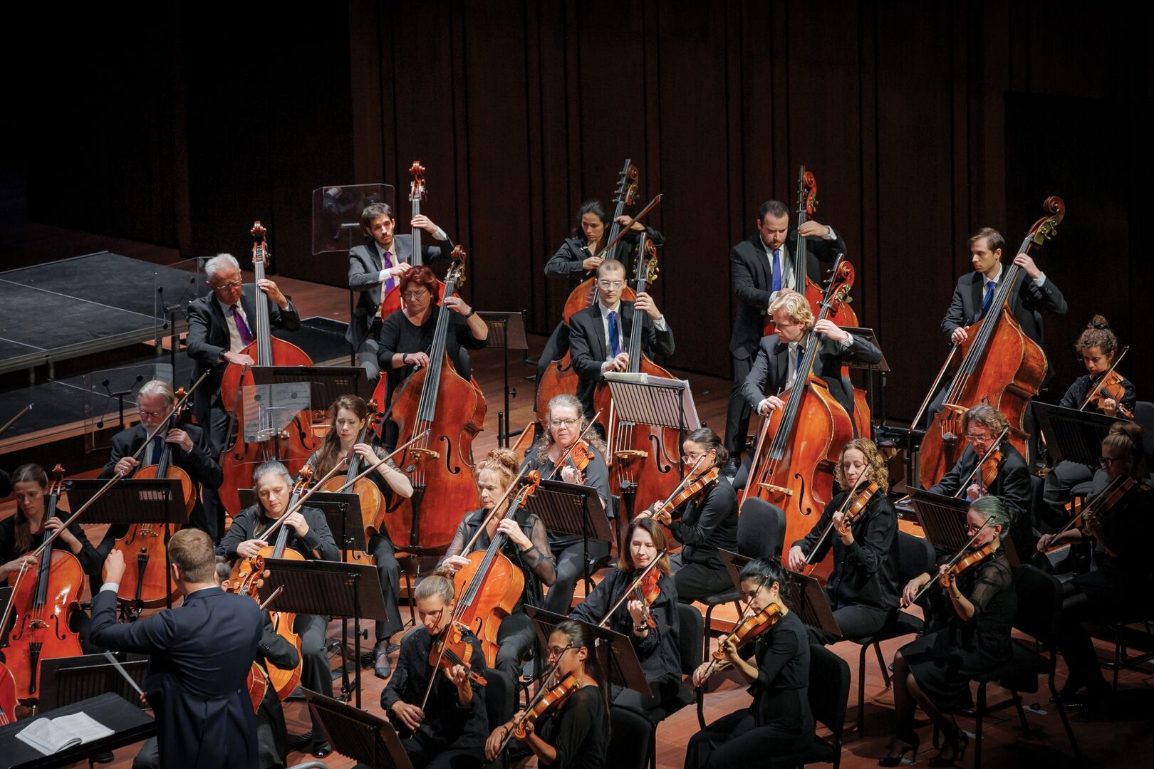 Elgars Celloconcert en Stravinsky's Vuurvogel