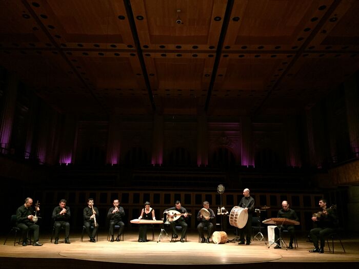Een muzikale groep van twaalf artiesten speelt verschillende instrumenten op een podium in een concertzaal.