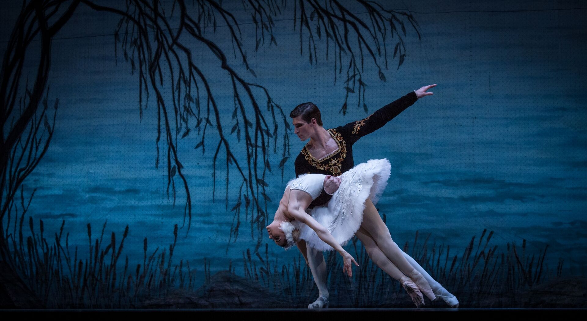 Een balletdanspaar voert een voorstelling uit voor een blauwe achtergrond met silhouetten van takken.