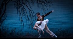 Een balletdanspaar voert een voorstelling uit voor een blauwe achtergrond met silhouetten van takken.