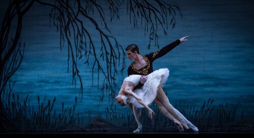 Een balletdanspaar voert een voorstelling uit voor een blauwe achtergrond met silhouetten van takken.