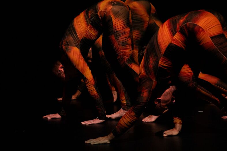 Zes dansers met lichaamsverf in oranje en zwart, in een dynamische pose op een donkere achtergrond.
