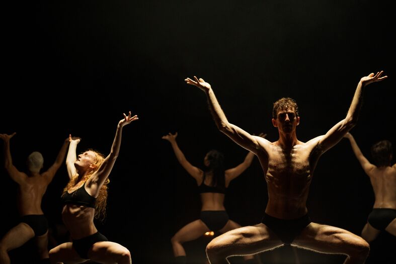 Groep dansers in een dramatische houding op een podium, belicht door een spotlight tegen een donkere achtergrond.