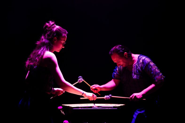 Twee muzikanten spelen een instrument met stokken in een donkere, sfeervolle setting met kleurrijke verlichting.