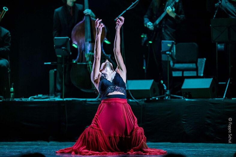 NBE Vientos Flamencos Foppe Schut _lowres_FS25_79276