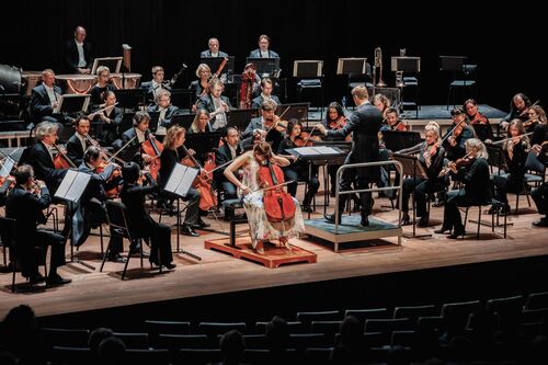 Nieuwjaarsconcert