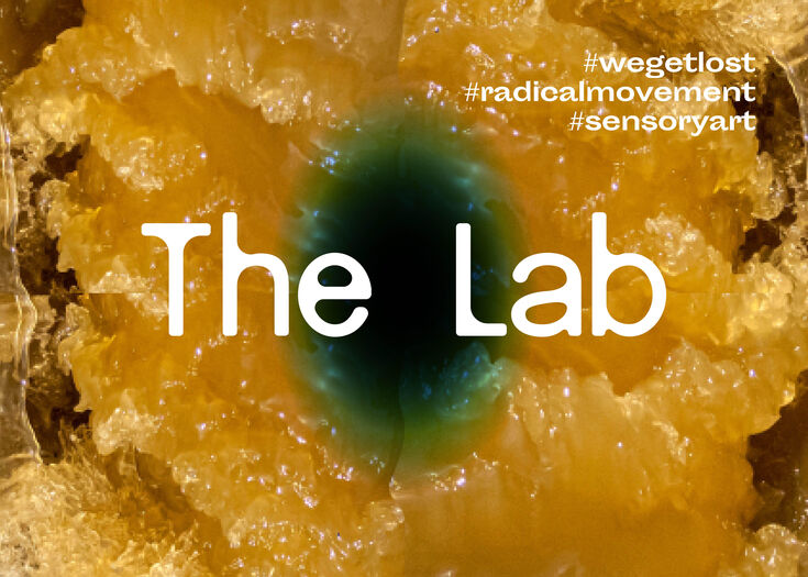 ONLINE The Lab INFO11