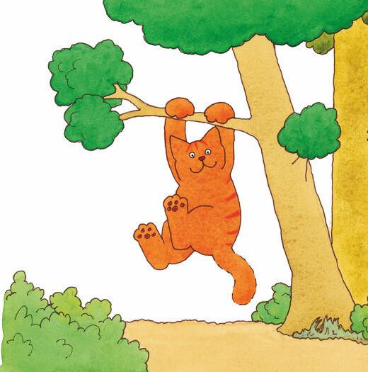 Een oranje kat hangt met zijn poten aan een tak van een boom, omringd door groene bomen en struiken.