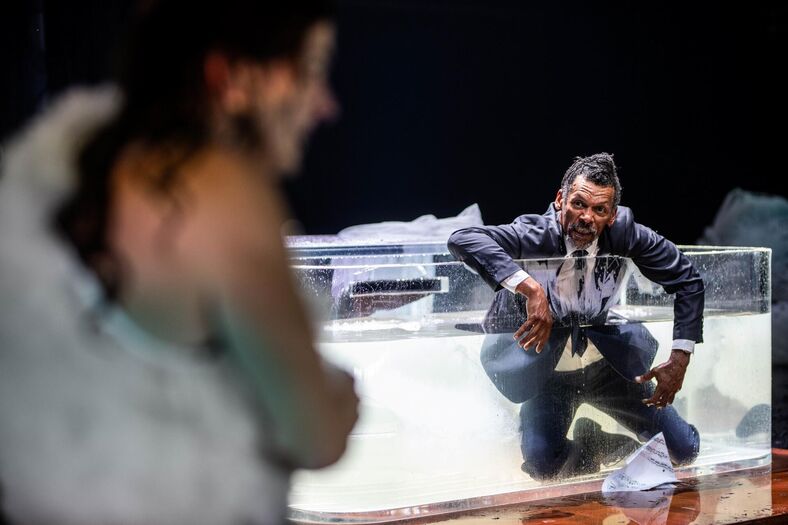Phaedra in vlammen Het Nationale Theater foto Bart Grietens (6)