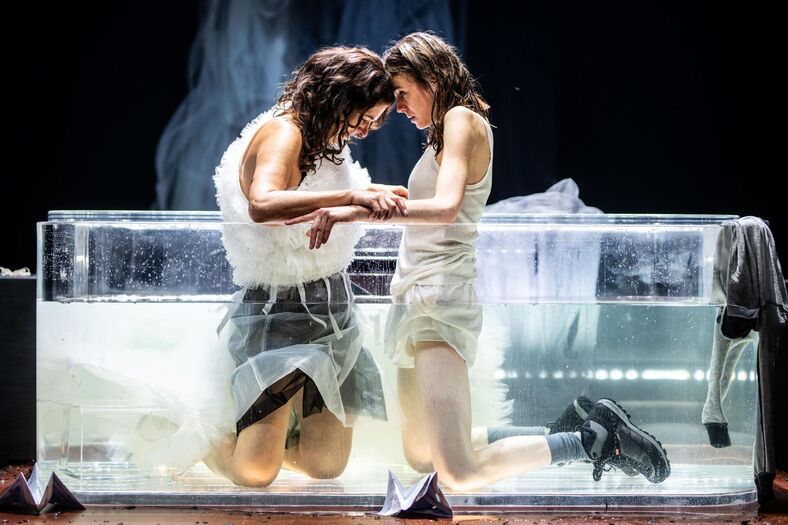 Phaedra in vlammen Het Nationale Theater foto Bart Grietens (2)