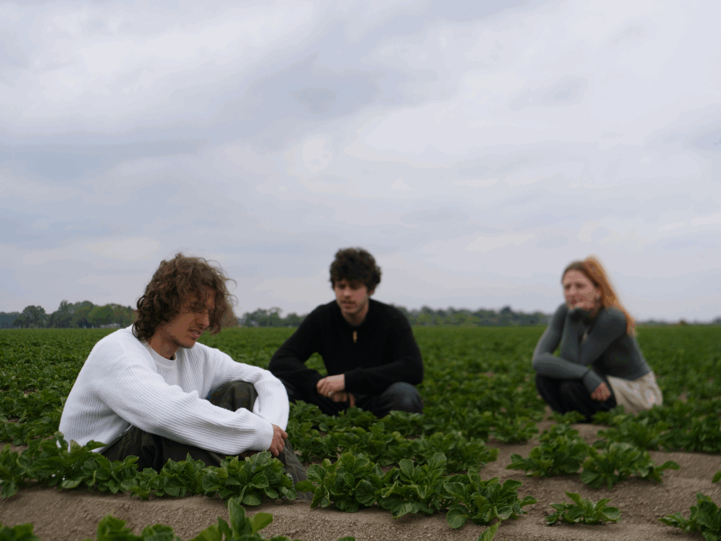 Drie mensen zitten in een aardappelveld, met een bewolkte lucht op de achtergrond.