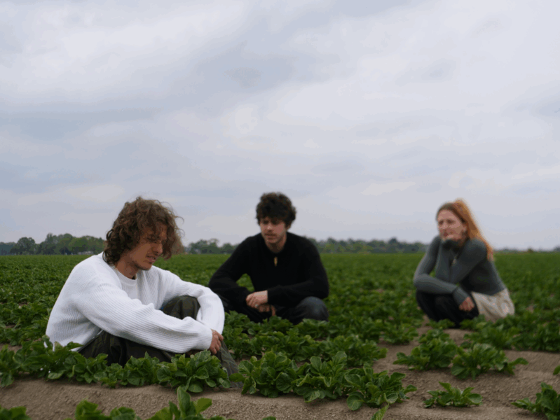 Drie mensen zitten in een aardappelveld, met een bewolkte lucht op de achtergrond.