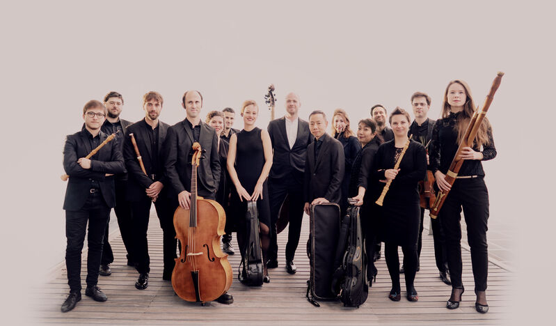 Een klassiek ensemble bestaand uit muzikanten met diverse instrumenten, gekleed in zwarte kleding, staat op een lichte achtergrond.