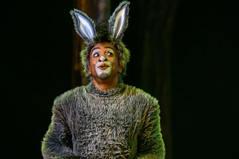 Shrek De Musical - Wim Lanser - 013