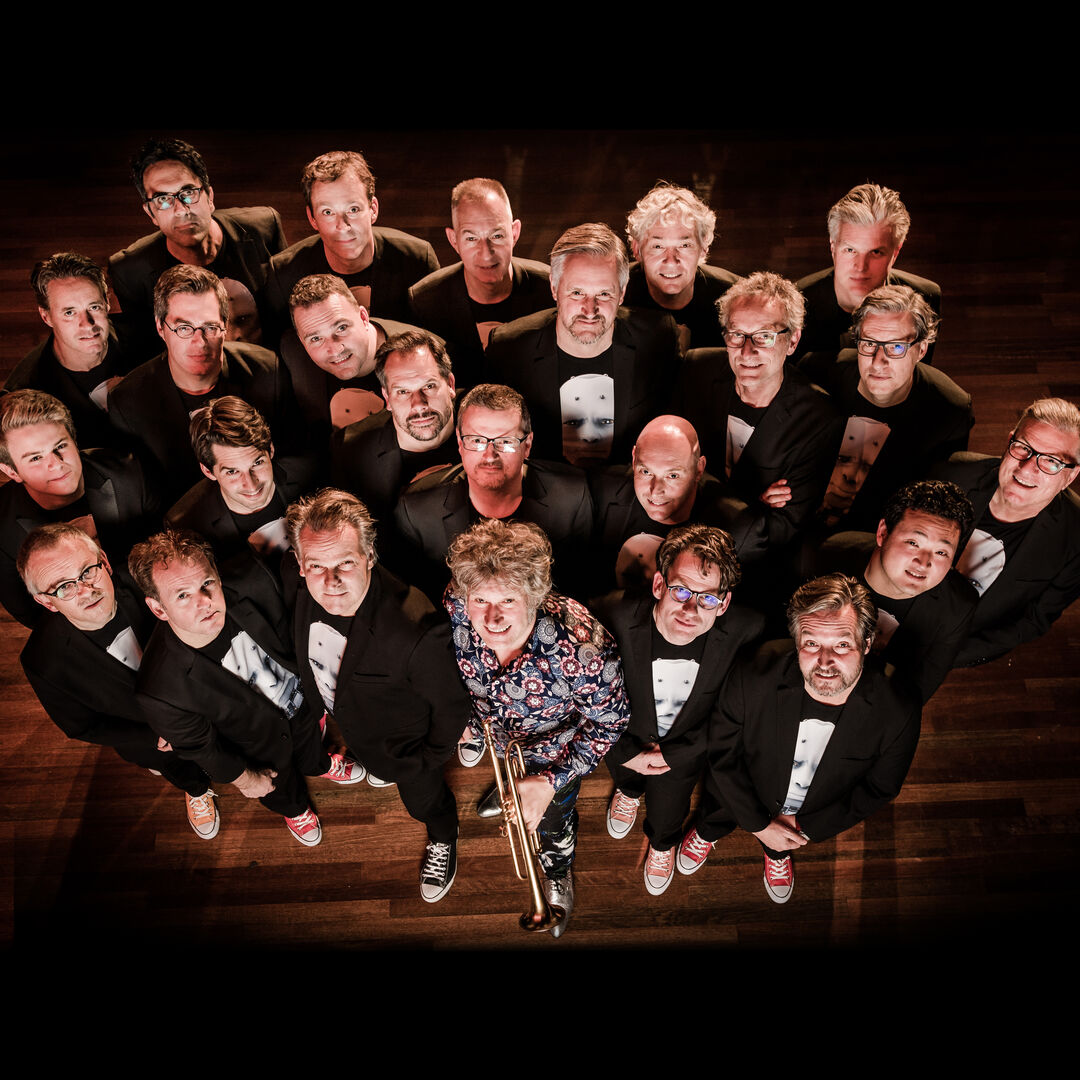 Eric Vloeimans: Takes on Licks & Brains