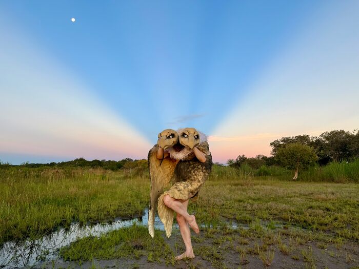 Een vrouw staat in een roofvogel kostuum voor een kleurrijke lucht bij zonsondergang, omringd door een groen landschap.