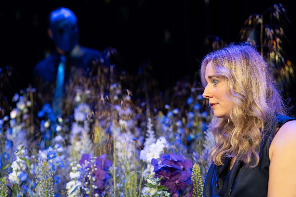 Van bijbaan naar volle zalen