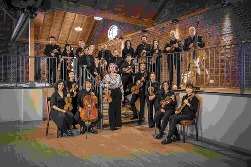 Een orkest bestaande uit 18 muzikanten, poserend op een trap met verschillende instrumenten in een sfeervolle ruimte.
